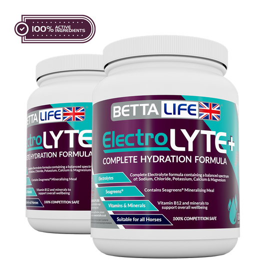 BettaLife ElectroLYTE