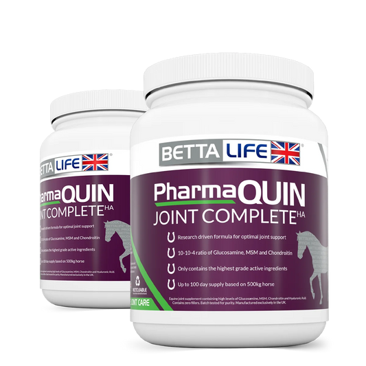 BettaLife PharmaQuin Joint Complete